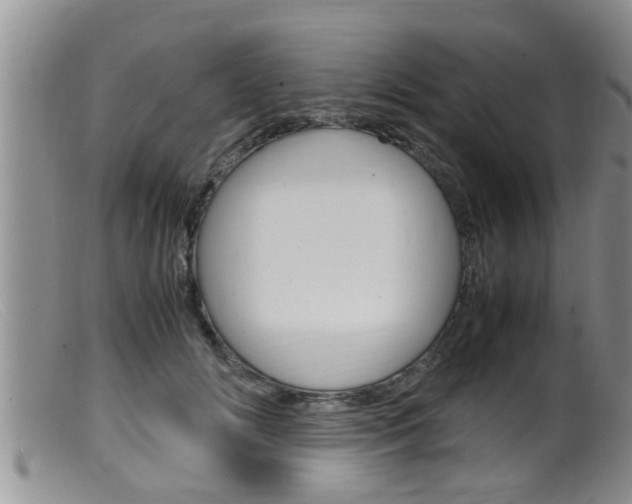 X0000099530702200805160725