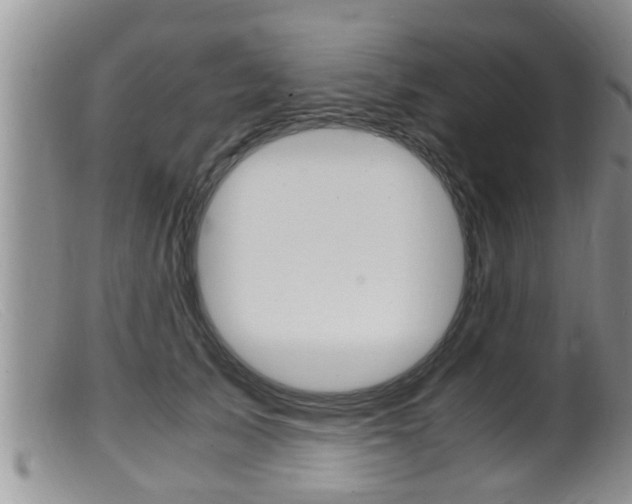 X0000099530705200805160725