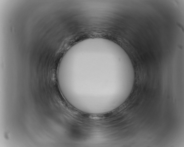 X0000099530706200805160725