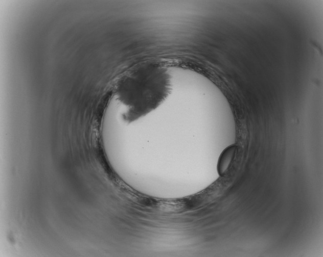 X0000099530707200805160725