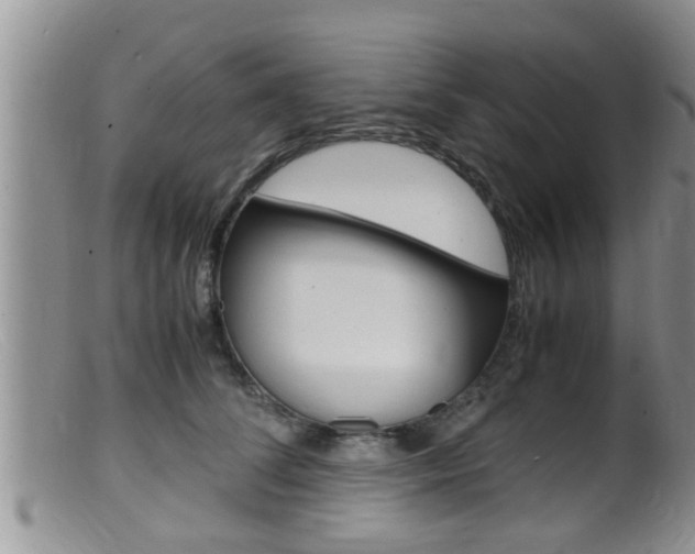 X0000099530708200805160725