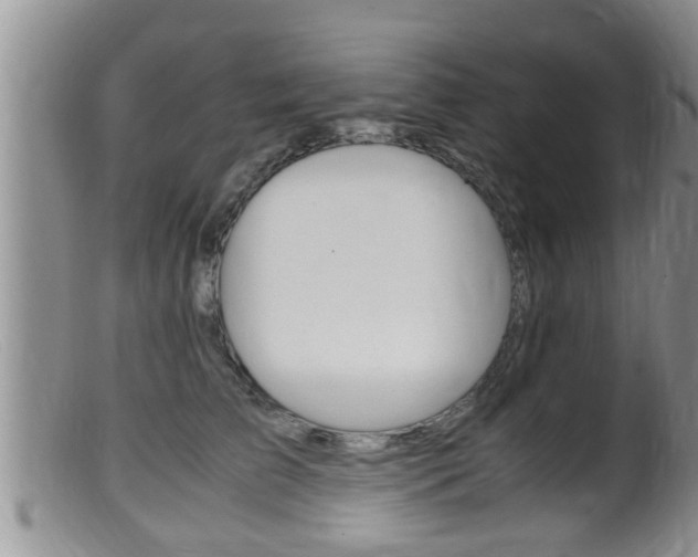 X0000099530709200805160725