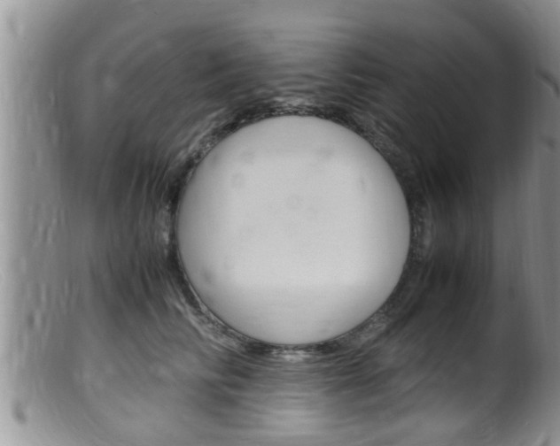 X0000099530710200805160725