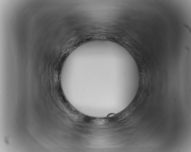 X0000099530711200805160725