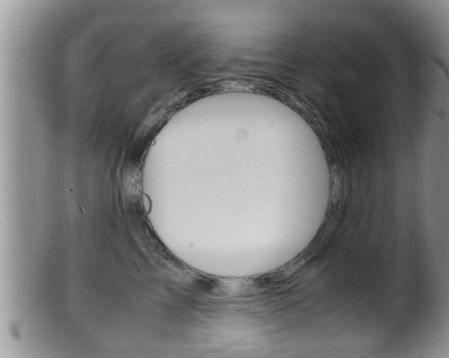 X0000099530713200805160725