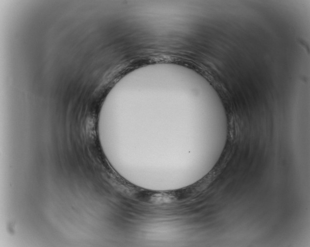 X0000099530714200805160725