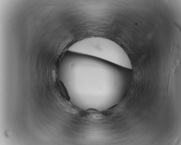 X0000099530716200805160725