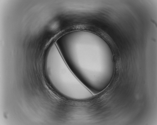 X0000099530722200805160724