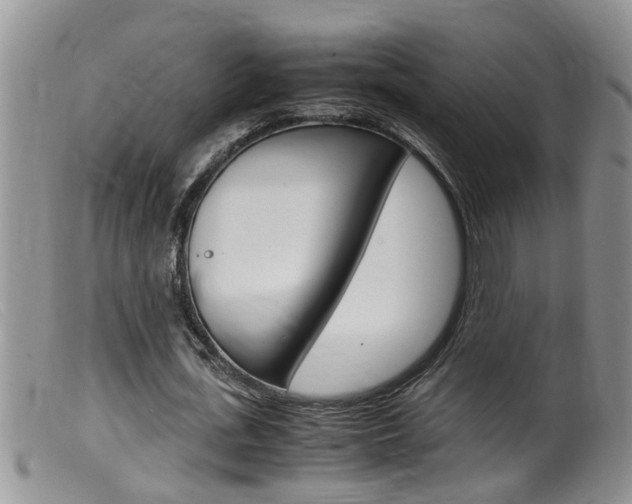 X0000099530723200805160724