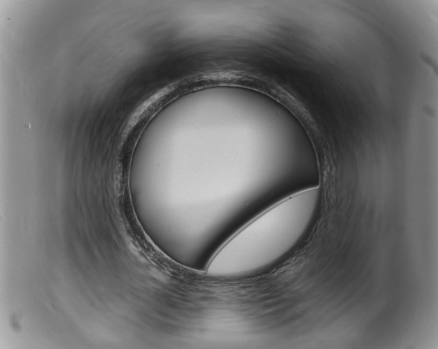 X0000099530724200805160724