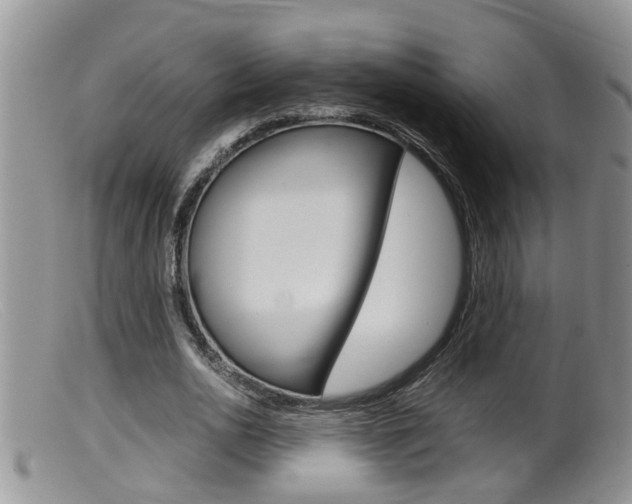 X0000099530726200805160724
