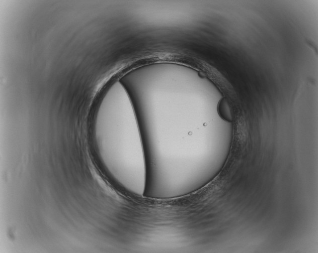 X0000099530730200805160725