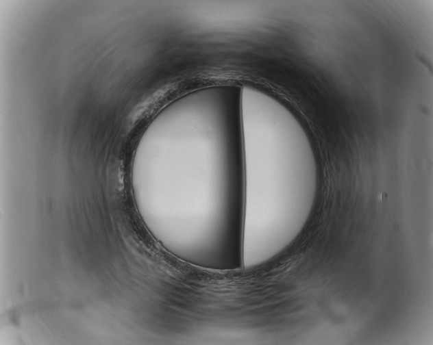X0000099530731200805160725