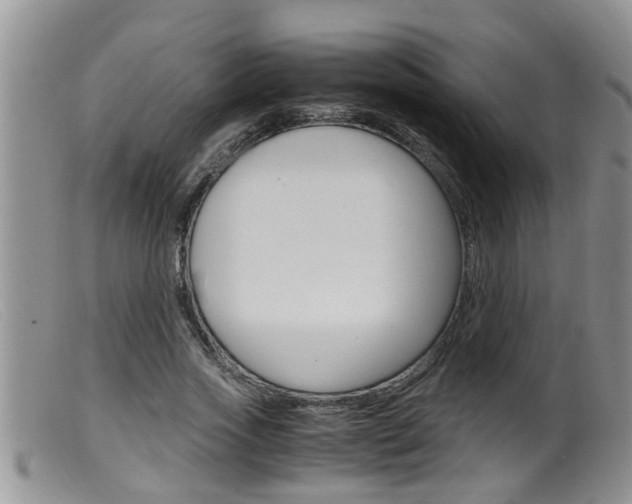 X0000099530733200805160725
