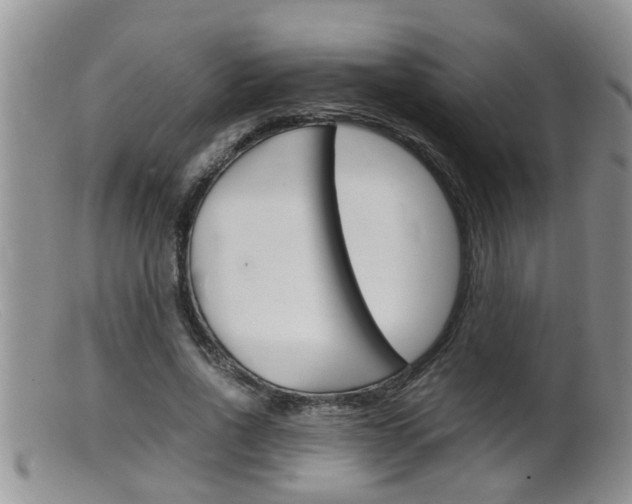 X0000099530734200805160725
