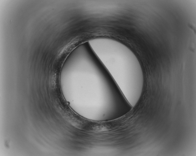 X0000099530735200805160725