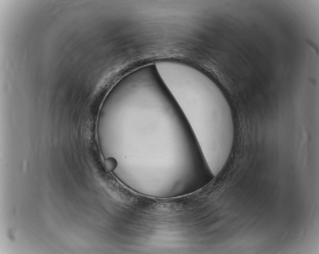 X0000099530736200805160725