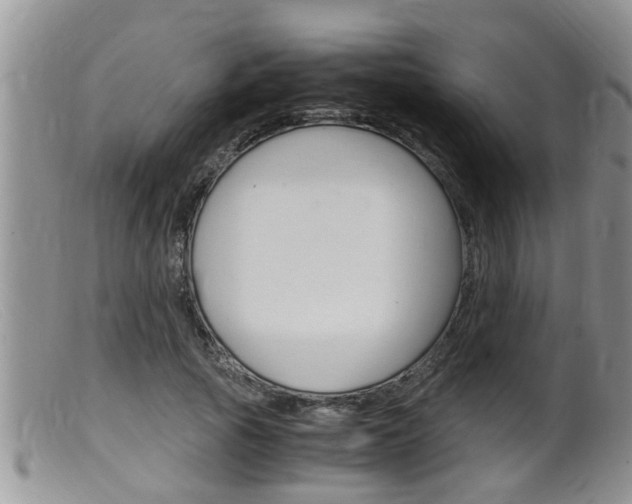 X0000099530737200805160725