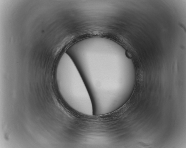 X0000099530738200805160725