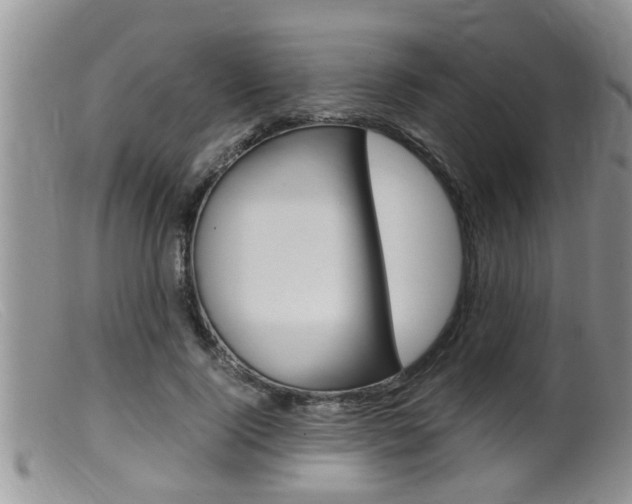X0000099530740200805160725