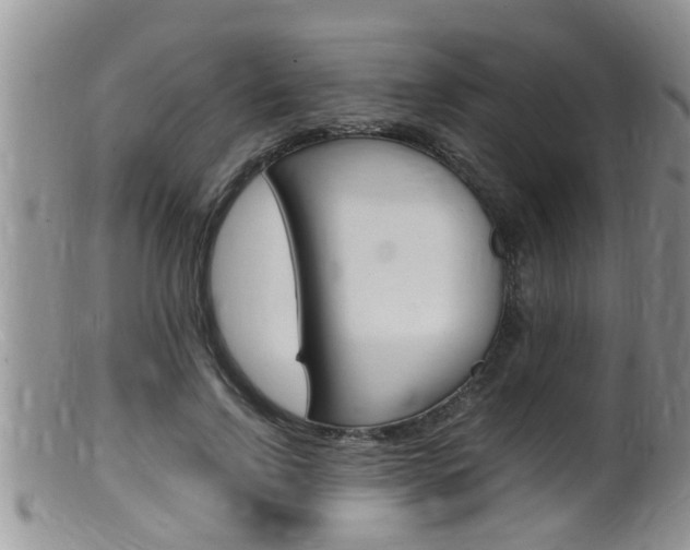 X0000099530742200805160725