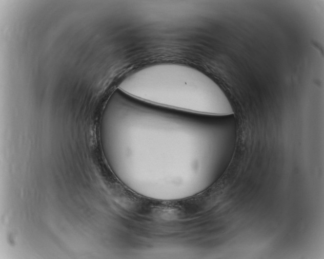 X0000099530743200805160725