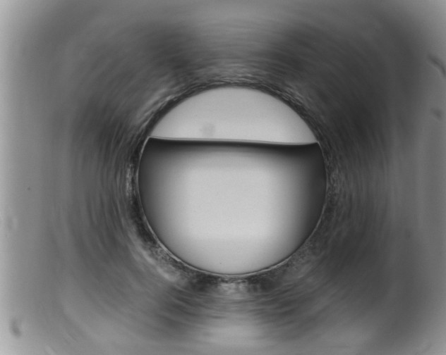 X0000099530744200805160725