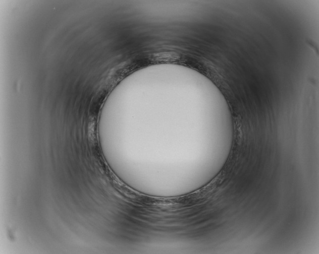 X0000099530745200805160725
