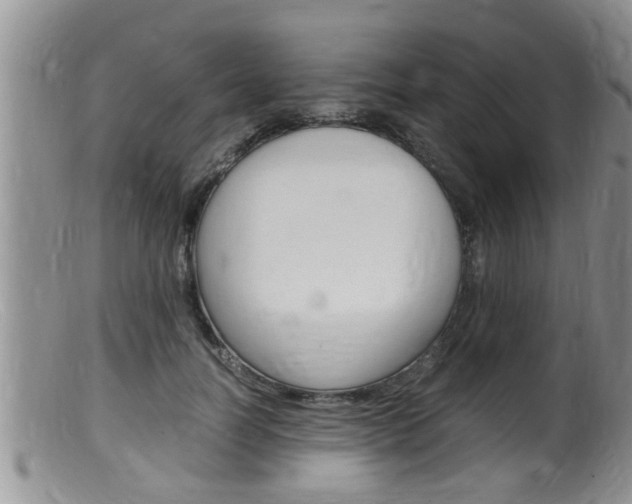 X0000099530746200805160725