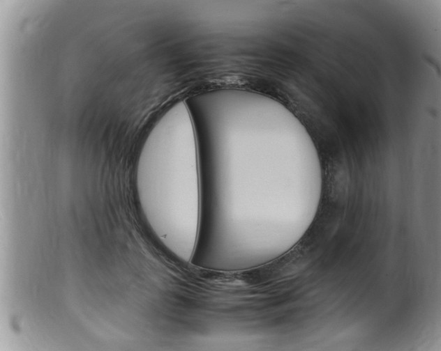 X0000099530747200805160725