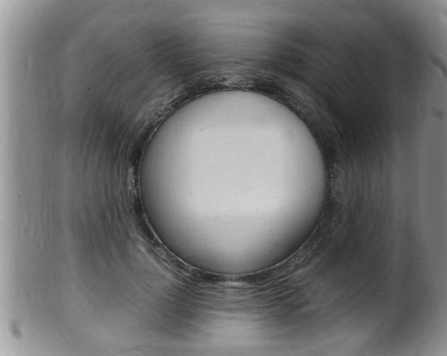 X0000099530748200805160725