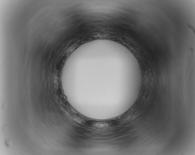 X0000099530749200805160725