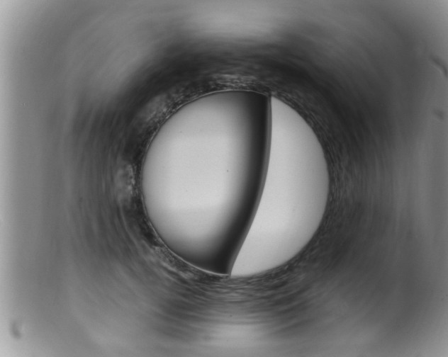 X0000099530752200805160725