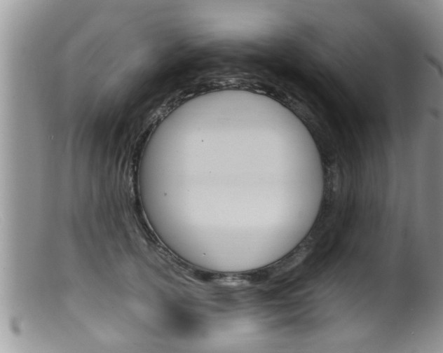 X0000099530754200805160725