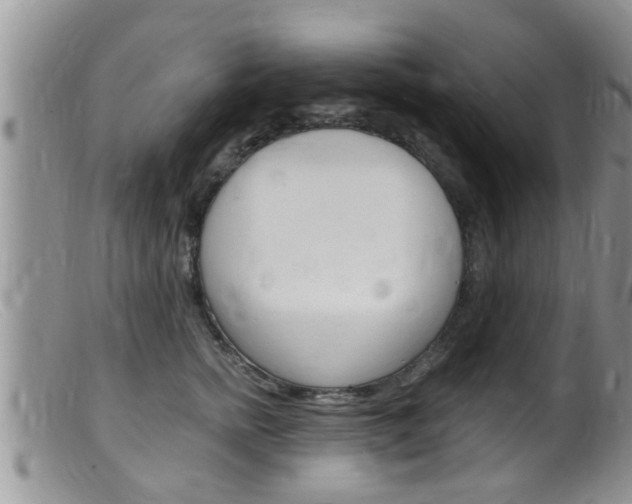 X0000099530758200805160725