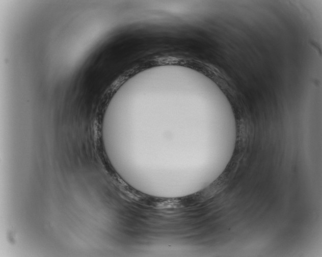 X0000099530761200805160725