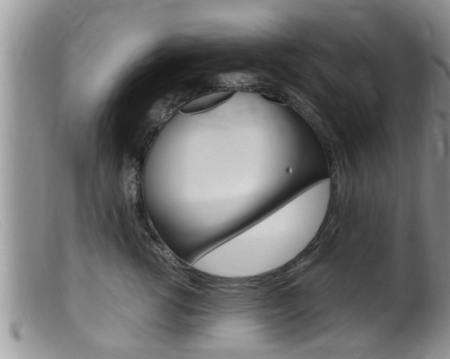 X0000099530762200805160725