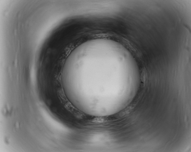 X0000099530764200805160725