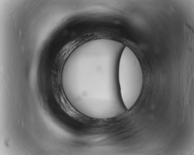 X0000099530765200805160725