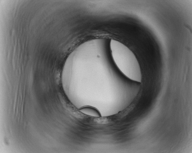 X0000099530767200805160725