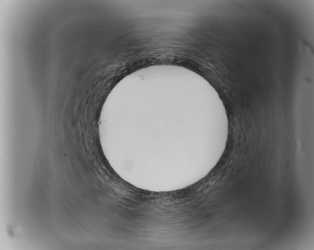 X0000099530769200805160724