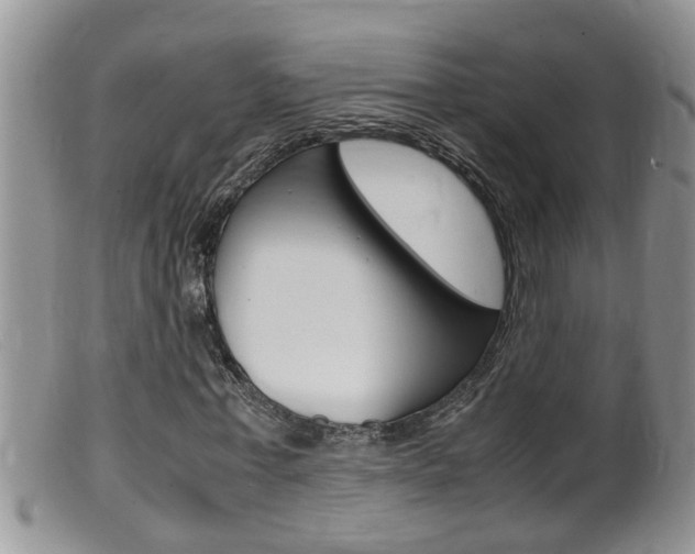 X0000099530771200805160724