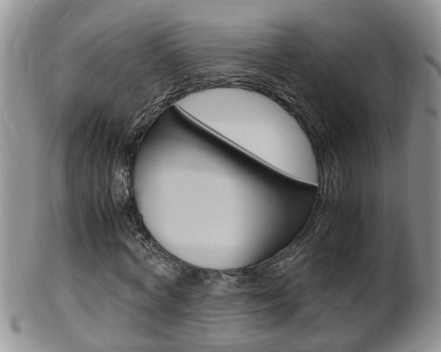 X0000099530772200805160724