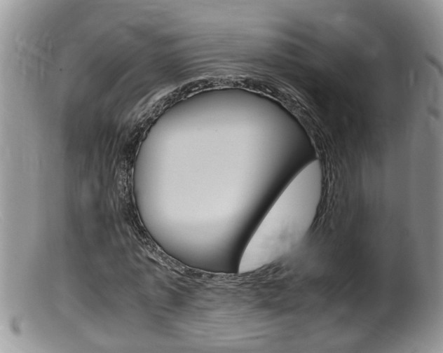 X0000099530773200805160724