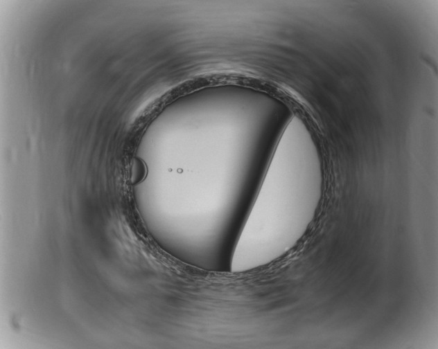 X0000099530775200805160724