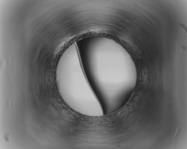 X0000099530776200805160724