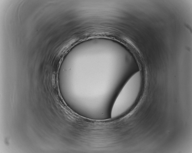 X0000099530777200805160724