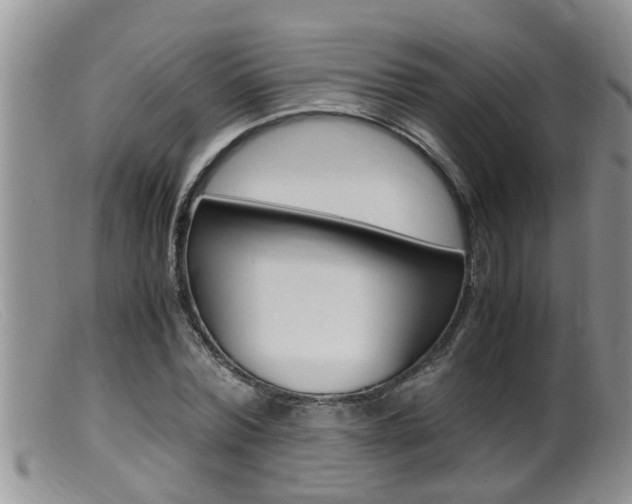 X0000099530780200805160724