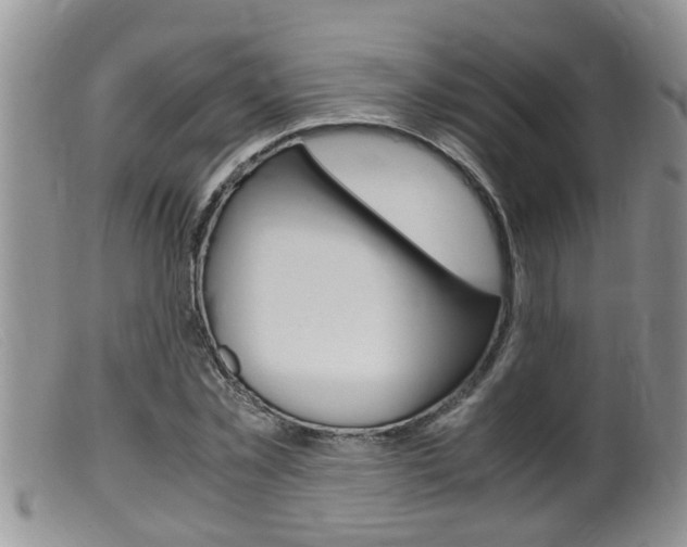 X0000099530781200805160724