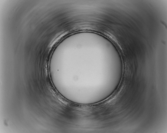 X0000099530782200805160724